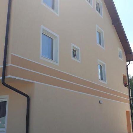 Apartament Vila Gajovic Pale Zewnętrze zdjęcie